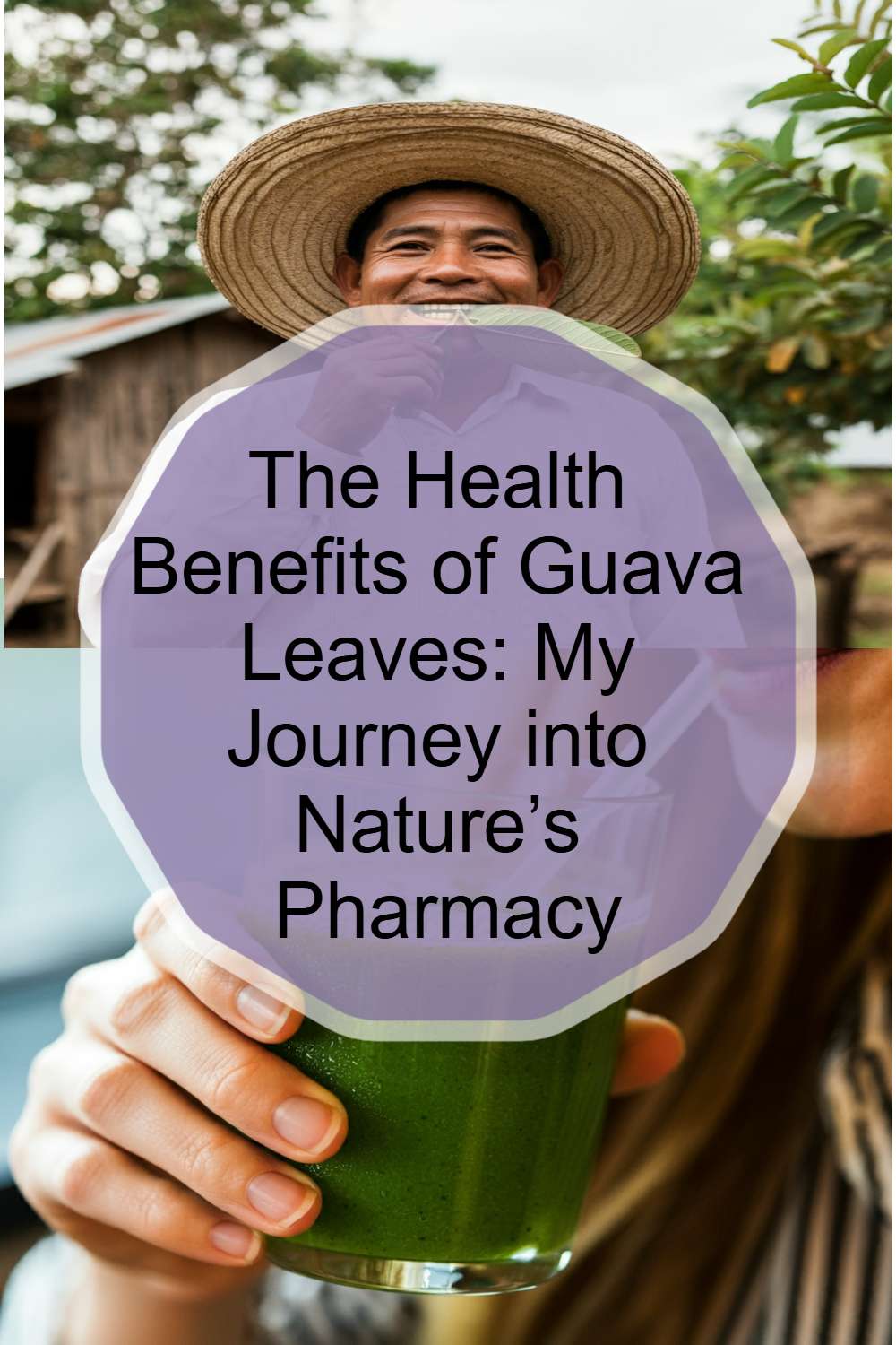 The Health Benefits of Guava Leaves