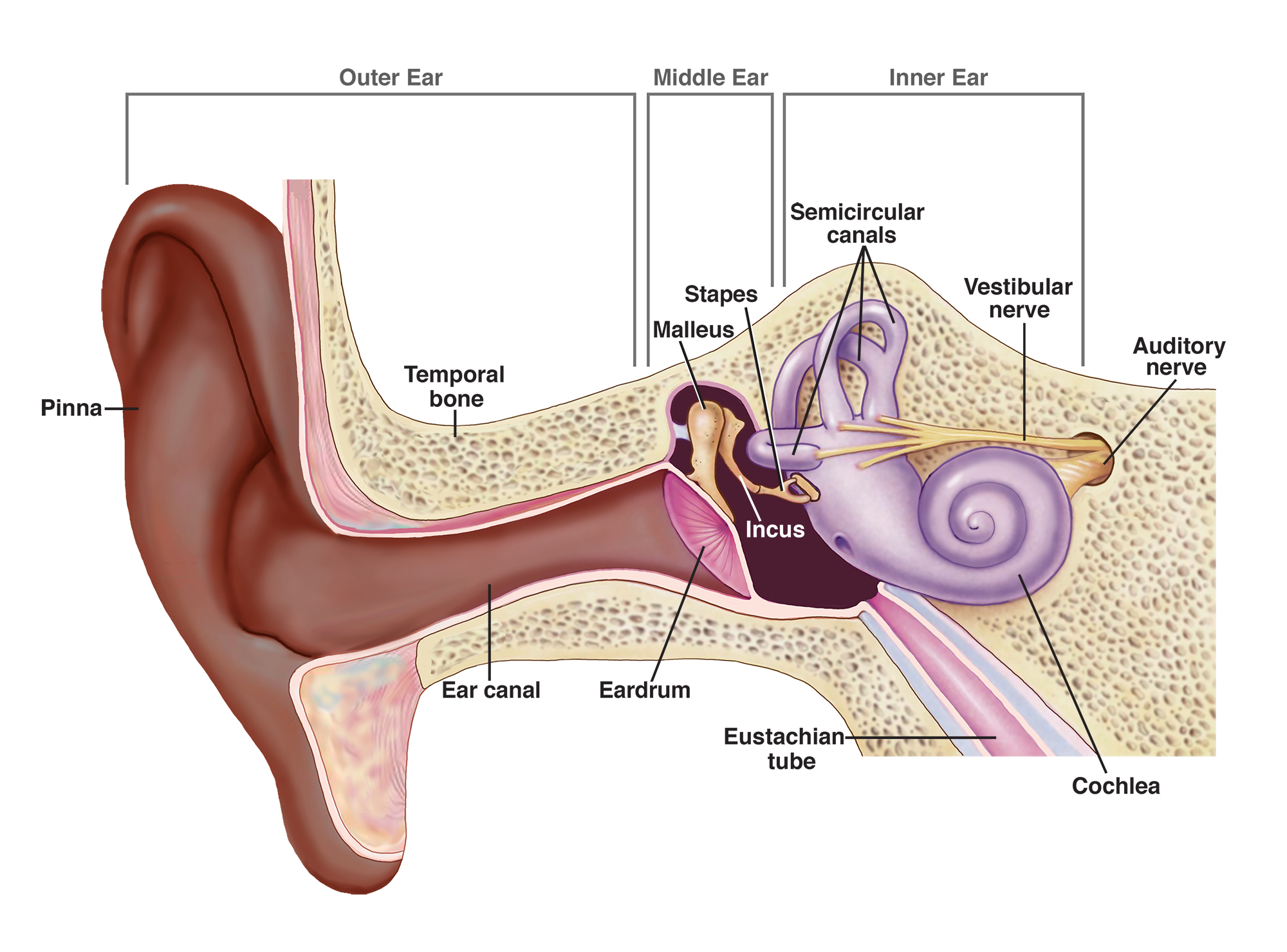 The Dangers of Using Cotton Swabs: Safer Ways to Clean Your Ears